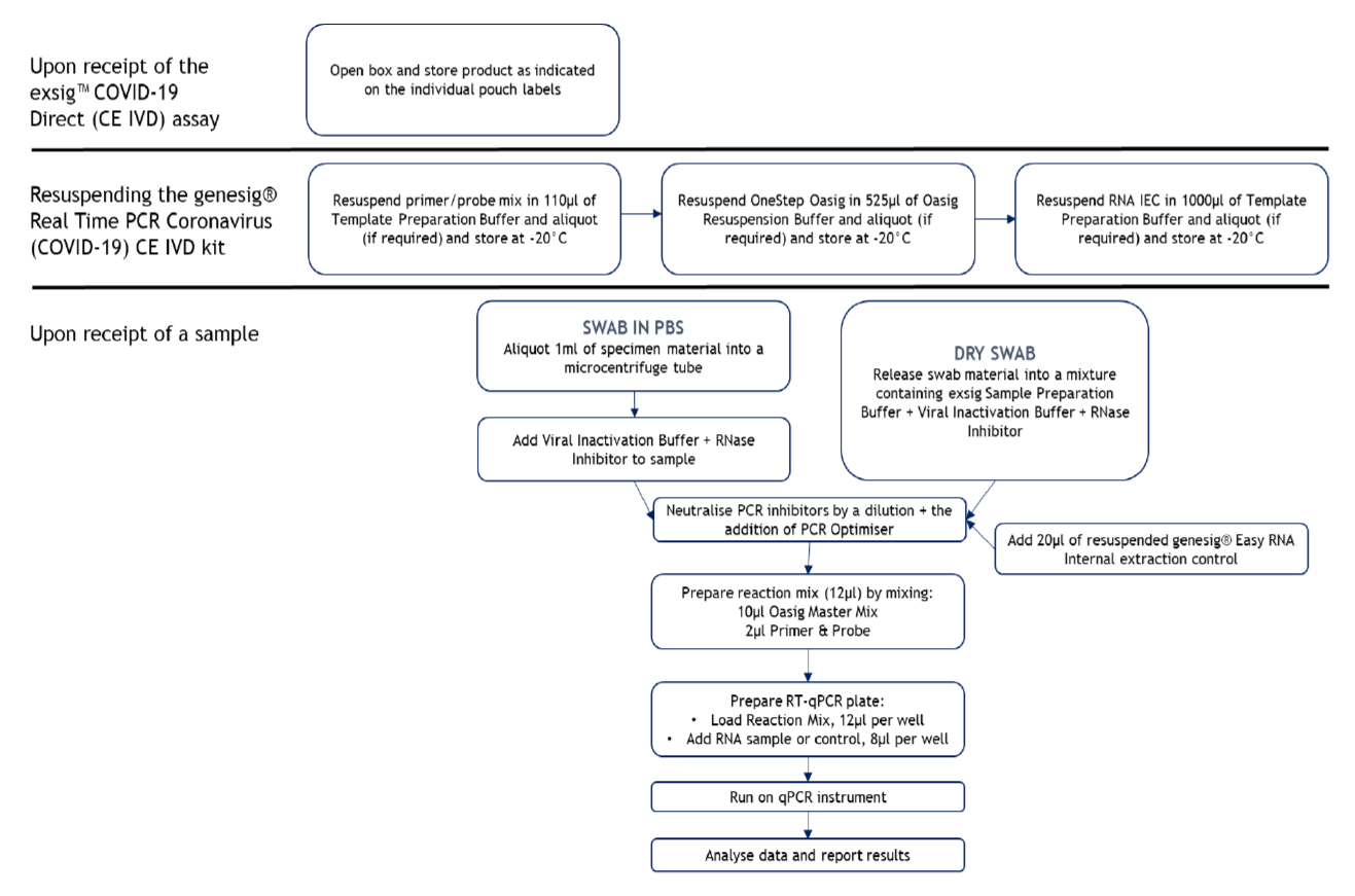 exsig COVID-19.png